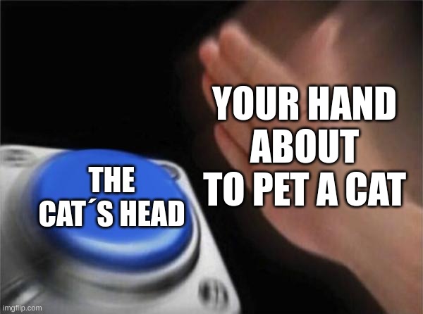 Blank Nut Button | YOUR HAND ABOUT TO PET A CAT; THE CAT´S HEAD | image tagged in memes,blank nut button | made w/ Imgflip meme maker