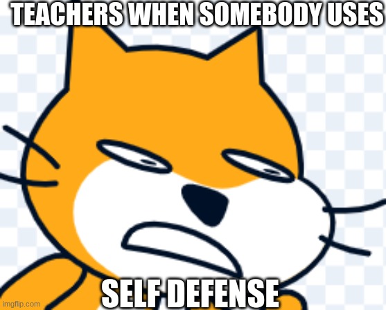 the | TEACHERS WHEN SOMEBODY USES; SELF DEFENSE | image tagged in why | made w/ Imgflip meme maker