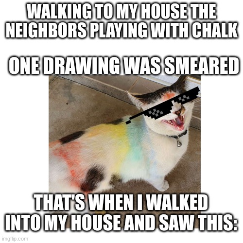 Chalky Cat | WALKING TO MY HOUSE THE NEIGHBORS PLAYING WITH CHALK; ONE DRAWING WAS SMEARED; THAT'S WHEN I WALKED INTO MY HOUSE AND SAW THIS: | image tagged in memes | made w/ Imgflip meme maker