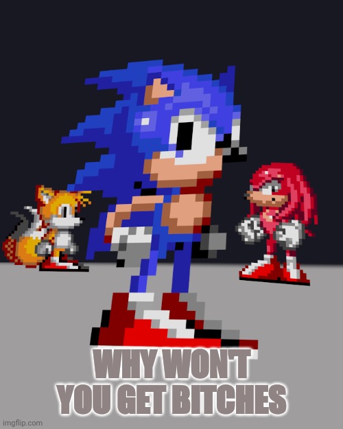 No bitches? | WHY WON'T YOU GET BITCHES | image tagged in no bitches,sonic the hedgehog,memes,funny | made w/ Imgflip meme maker
