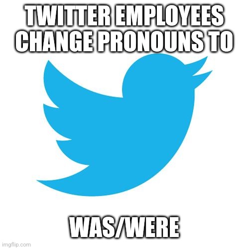 Twitter birds says | TWITTER EMPLOYEES CHANGE PRONOUNS TO; WAS/WERE | image tagged in twitter birds says | made w/ Imgflip meme maker