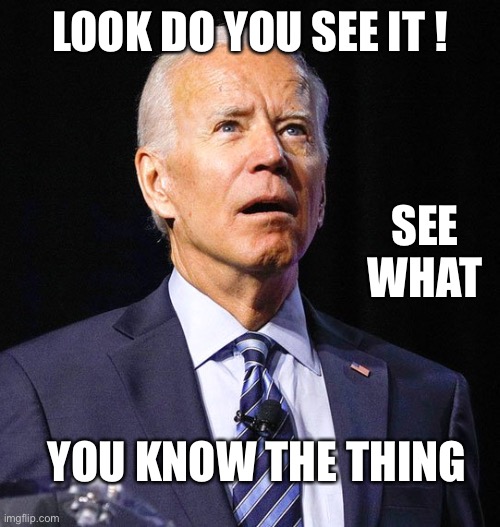 Joe Biden | LOOK DO YOU SEE IT ! SEE WHAT; YOU KNOW THE THING | image tagged in joe biden | made w/ Imgflip meme maker
