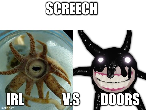 Screech | SCREECH; IRL               V.S        DOORS | image tagged in doors | made w/ Imgflip meme maker