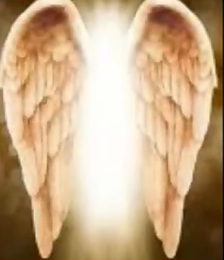 Phase 16 Blank Meme Template