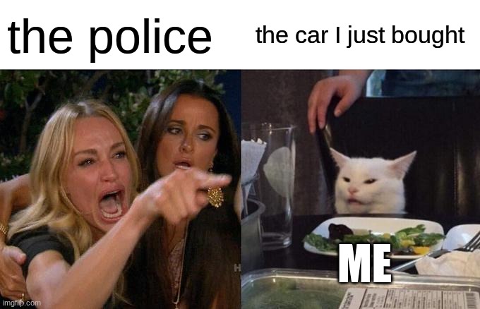 Woman Yelling At Cat Meme | the police; the car I just bought; ME | image tagged in memes,woman yelling at cat | made w/ Imgflip meme maker