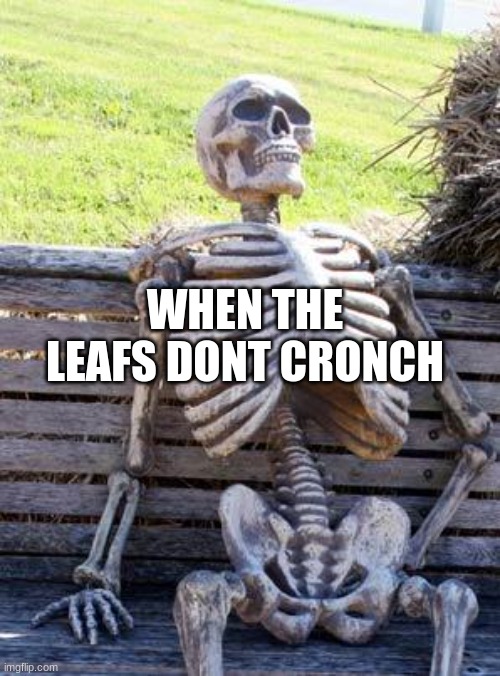 Waiting Skeleton | WHEN THE LEAFS DONT CRONCH | image tagged in memes,waiting skeleton | made w/ Imgflip meme maker