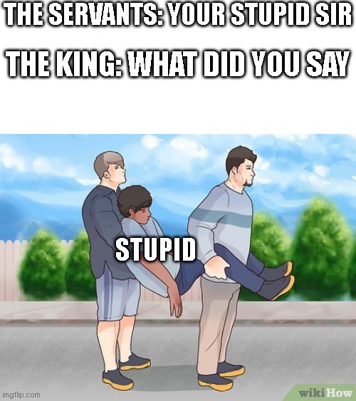 check the spelling | THE SERVANTS: YOUR STUPID SIR; THE KING: WHAT DID YOU SAY; STUPID | image tagged in carry,stupid | made w/ Imgflip meme maker