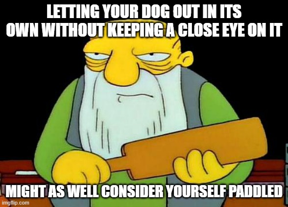 Moral of the meme is - always keep an eye on your dog at all times | LETTING YOUR DOG OUT IN ITS OWN WITHOUT KEEPING A CLOSE EYE ON IT; MIGHT AS WELL CONSIDER YOURSELF PADDLED | image tagged in memes,that's a paddlin',relatable,savage memes,learning lesson,the simpsons | made w/ Imgflip meme maker