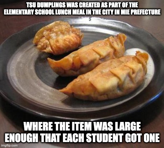 Tsu Dumplings | TSU DUMPLINGS WAS CREATED AS PART OF THE ELEMENTARY SCHOOL LUNCH MEAL IN THE CITY IN MIE PREFECTURE; WHERE THE ITEM WAS LARGE ENOUGH THAT EACH STUDENT GOT ONE | image tagged in dumpling,food,memes | made w/ Imgflip meme maker