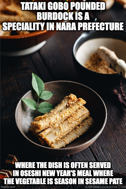 Tataki Gobo | TATAKI GOBO POUNDED BURDOCK IS A SPECIALITY IN NARA PREFECTURE; WHERE THE DISH IS OFTEN SERVED IN OSESHI NEW YEAR'S MEAL WHERE THE VEGETABLE IS SEASON IN SESAME PATE | image tagged in food,memes | made w/ Imgflip meme maker