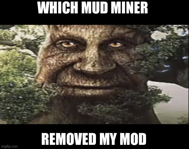 And why (mod note: WHAT) | WHICH MUD MINER; REMOVED MY MOD | image tagged in wise mystical tree | made w/ Imgflip meme maker