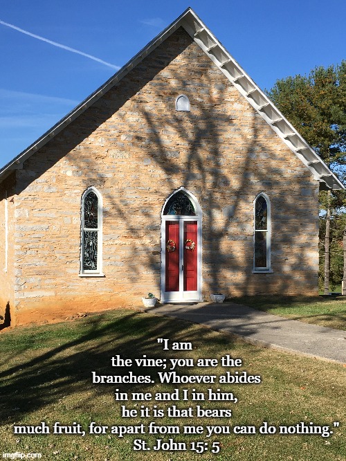 I Am the vine | "I am 
the vine; you are the branches. Whoever abides in me and I in him, he it is that bears much fruit, for apart from me you can do nothing."
St. John 15: 5 | image tagged in john's gospel,ben salem presbyterian church,true vine,church,christ | made w/ Imgflip meme maker