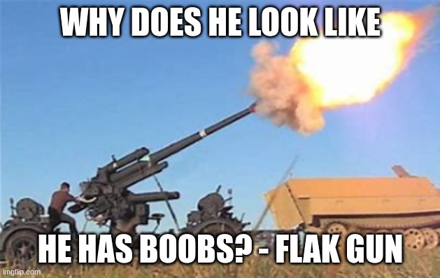 Flak gun | WHY DOES HE LOOK LIKE HE HAS BOOBS? - FLAK GUN | image tagged in flak gun | made w/ Imgflip meme maker