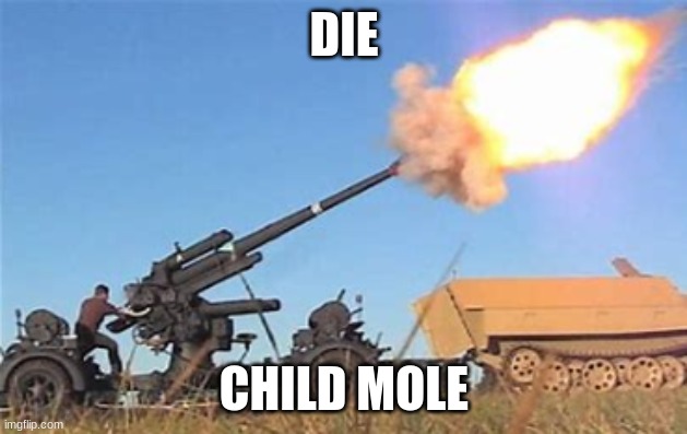 Flak gun | DIE CHILD MOLE | image tagged in flak gun | made w/ Imgflip meme maker