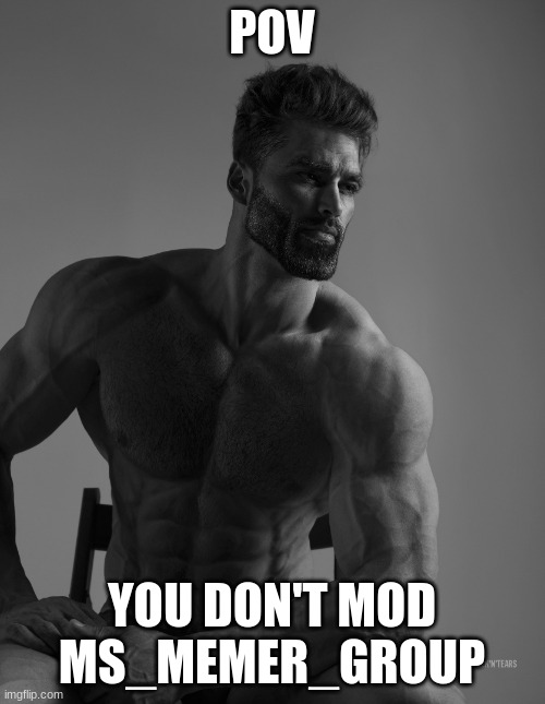 Giga Chad | POV YOU DON'T MOD MS_MEMER_GROUP | image tagged in giga chad | made w/ Imgflip meme maker