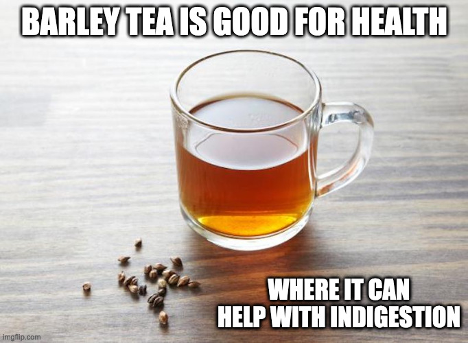 Barley Tea | BARLEY TEA IS GOOD FOR HEALTH; WHERE IT CAN HELP WITH INDIGESTION | image tagged in tea,memes | made w/ Imgflip meme maker