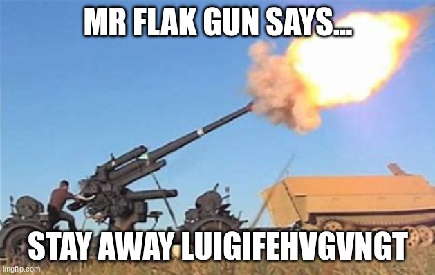 Flak gun | MR FLAK GUN SAYS... STAY AWAY LUIGIFEHVGVNGT | image tagged in flak gun | made w/ Imgflip meme maker