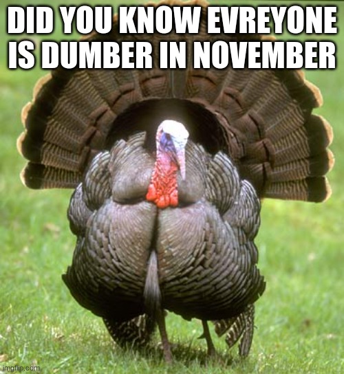 Turkey | DID YOU KNOW EVREYONE IS DUMBER IN NOVEMBER | image tagged in memes,turkey | made w/ Imgflip meme maker