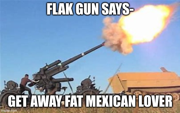 Flak gun | FLAK GUN SAYS- GET AWAY FAT MEXICAN LOVER | image tagged in flak gun | made w/ Imgflip meme maker