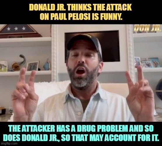 Republicans are applauding the actions of a crazy man. And not for the first time, either. | DONALD JR. THINKS THE ATTACK 
ON PAUL PELOSI IS FUNNY. THE ATTACKER HAS A DRUG PROBLEM AND SO DOES DONALD JR., SO THAT MAY ACCOUNT FOR IT. | image tagged in nancy pelosi,attack,donald trump jr,don't do drugs | made w/ Imgflip meme maker