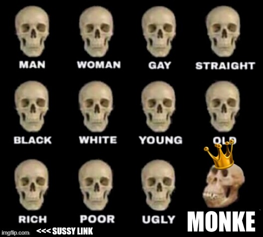 idiot skull | MONKE; <<< SUSSY LINK | image tagged in idiot skull | made w/ Imgflip meme maker