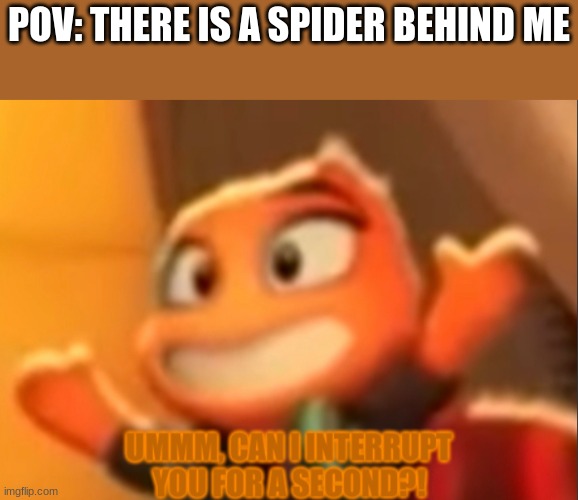 true story | POV: THERE IS A SPIDER BEHIND ME | image tagged in ms tarantula is confused of your actions | made w/ Imgflip meme maker