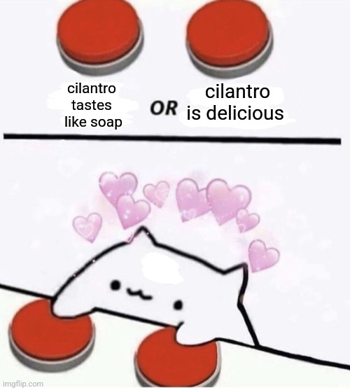 It's true | cilantro 
tastes 
like soap; cilantro is delicious | image tagged in cat pressing two buttons | made w/ Imgflip meme maker