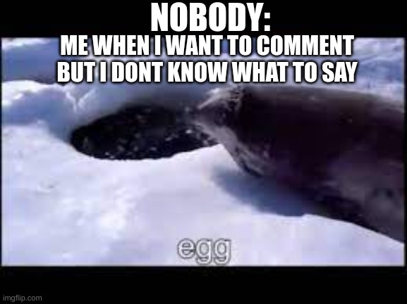 egg boi | NOBODY:; ME WHEN I WANT TO COMMENT BUT I DONT KNOW WHAT TO SAY | image tagged in memes,funny,fun | made w/ Imgflip meme maker