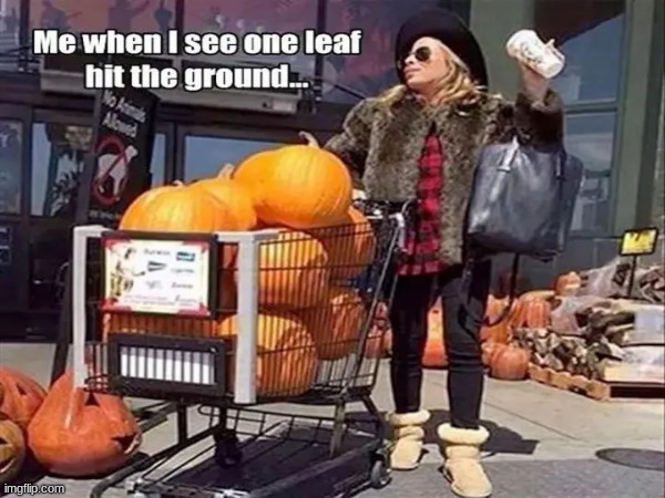 when you see that one leaf | image tagged in fall | made w/ Imgflip meme maker