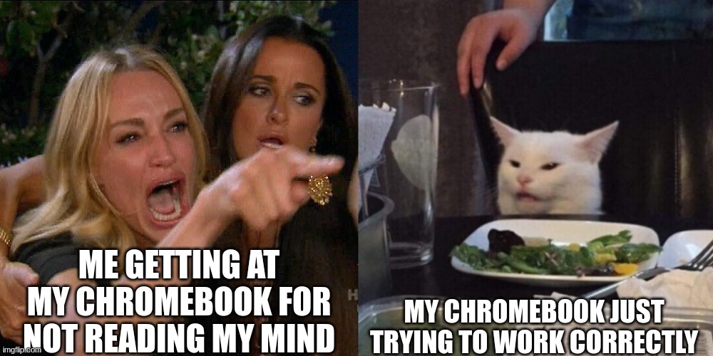 Woman yelling at cat | ME GETTING AT MY CHROMEBOOK FOR NOT READING MY MIND; MY CHROMEBOOK JUST TRYING TO WORK CORRECTLY | image tagged in woman yelling at cat | made w/ Imgflip meme maker