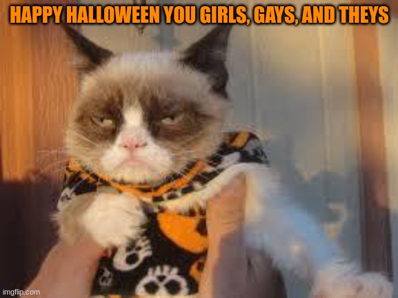 ily <3 | HAPPY HALLOWEEN YOU GIRLS, GAYS, AND THEYS | image tagged in memes,grumpy cat halloween,grumpy cat | made w/ Imgflip meme maker