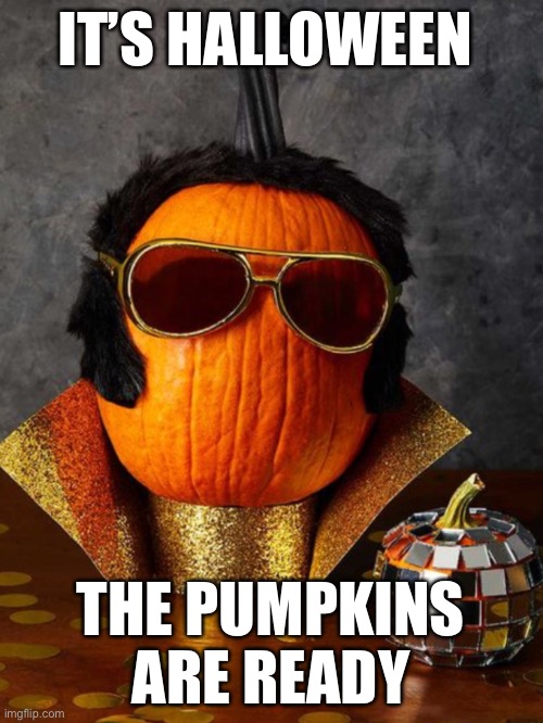 Pumpkin costume | IT’S HALLOWEEN; THE PUMPKINS ARE READY | image tagged in happy halloween | made w/ Imgflip meme maker