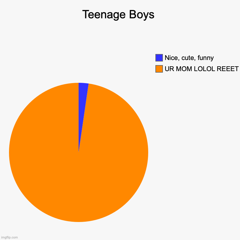 Teenage boys | Teenage Boys | UR MOM LOLOL REEET, Nice, cute, funny | image tagged in charts,pie charts | made w/ Imgflip chart maker