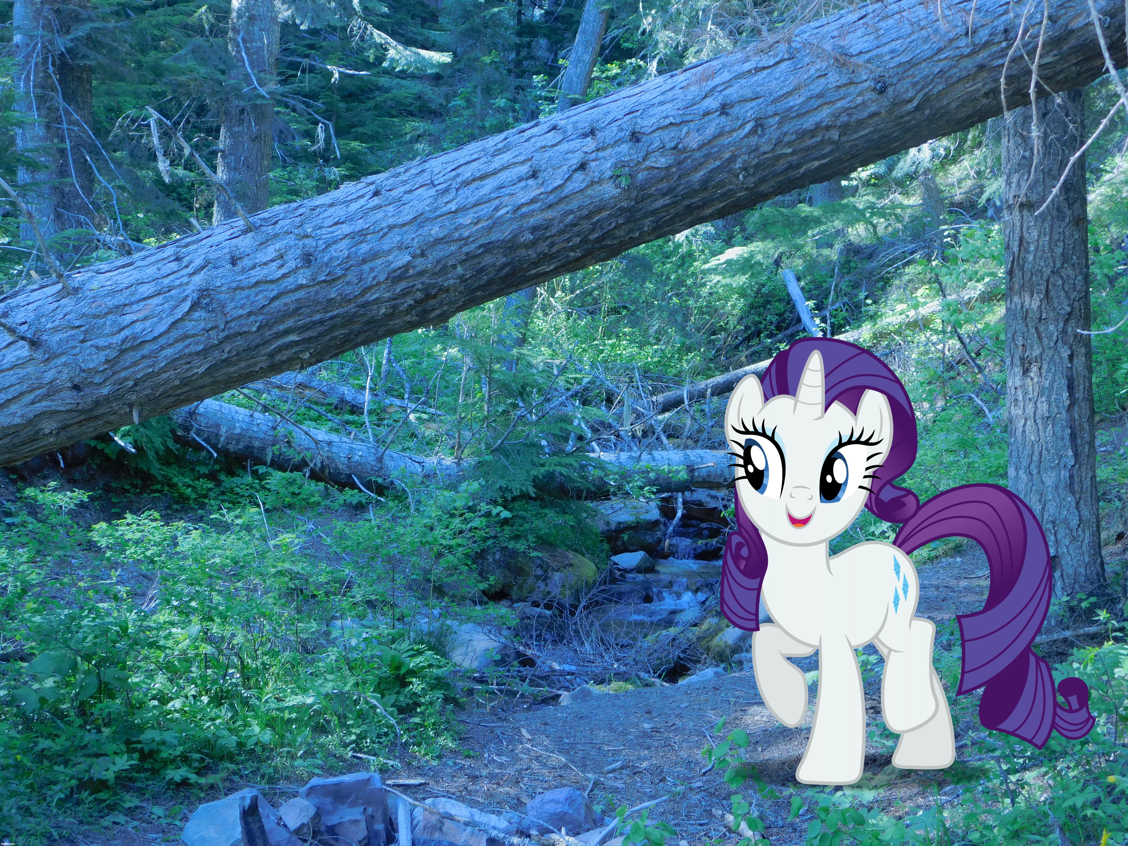 image tagged in rarity,cute,my little pony,real life | made w/ Imgflip meme maker