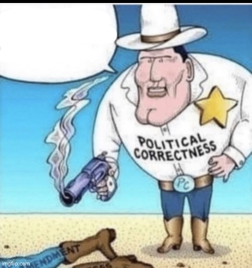 political correctness shooting a guy Blank Meme Template