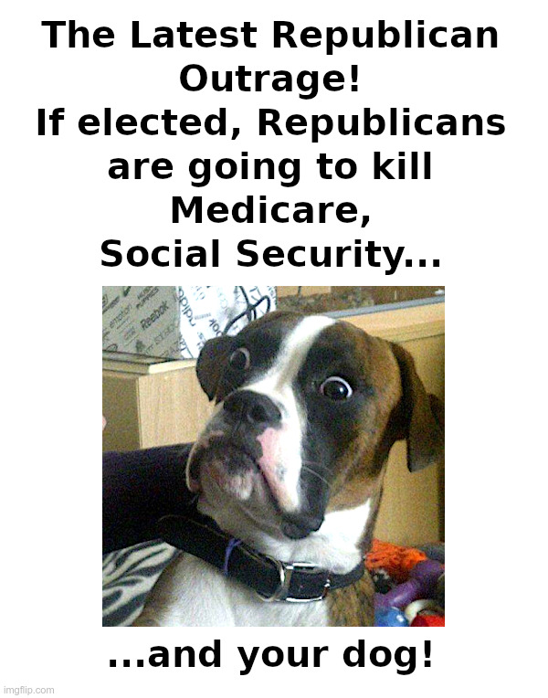 Republicans Want To Kill Medicare, Social Security and Your Dog! | image tagged in republicans,outrage,kill,medicare,social security,dog | made w/ Imgflip meme maker