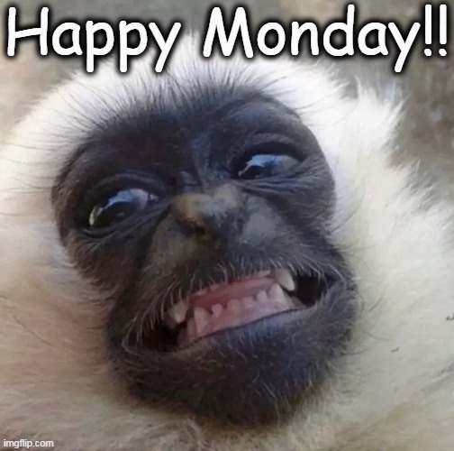 Only Four Days Until Friday! | Happy Monday!! | image tagged in fun,happy monday,be happy,it could be worse,positive thinking,psa | made w/ Imgflip meme maker