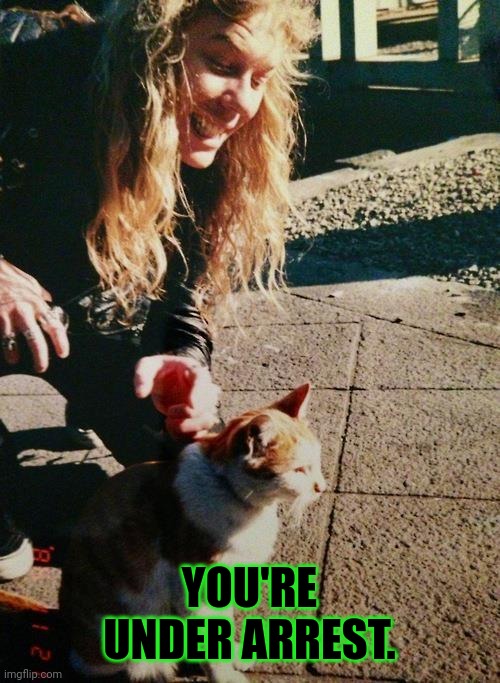 Cat Stalker James Hetfield | YOU'RE UNDER ARREST. | image tagged in cat stalker james hetfield | made w/ Imgflip meme maker