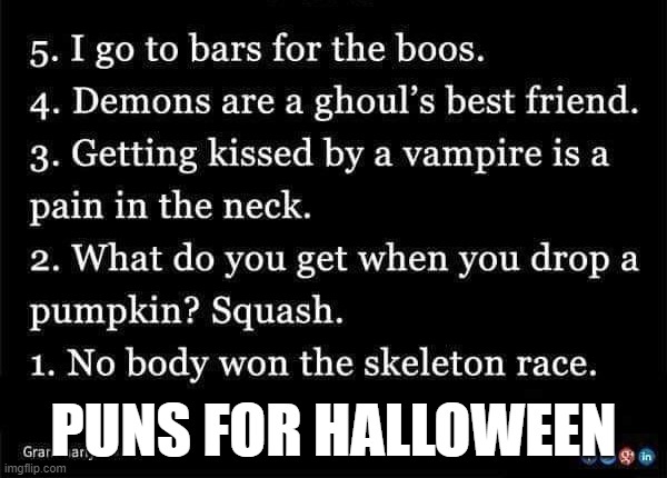 haloween puns | PUNS FOR HALLOWEEN | image tagged in holidays | made w/ Imgflip meme maker