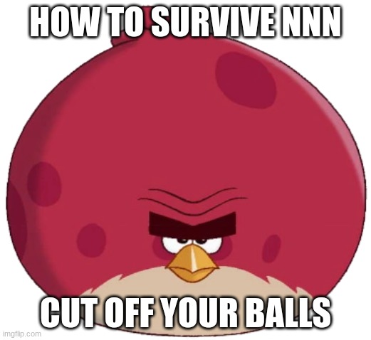 Terence (Angry Birds Toons style) | HOW TO SURVIVE NNN; CUT OFF YOUR BALLS | image tagged in terence angry birds toons style | made w/ Imgflip meme maker