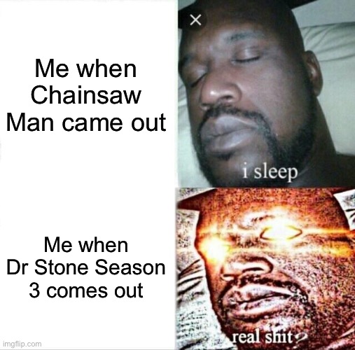 Chainsaw Man vs Dr Stone | Me when Chainsaw Man came out; Me when Dr Stone Season 3 comes out | image tagged in memes,sleeping shaq,chainsaw man,dr stone | made w/ Imgflip meme maker