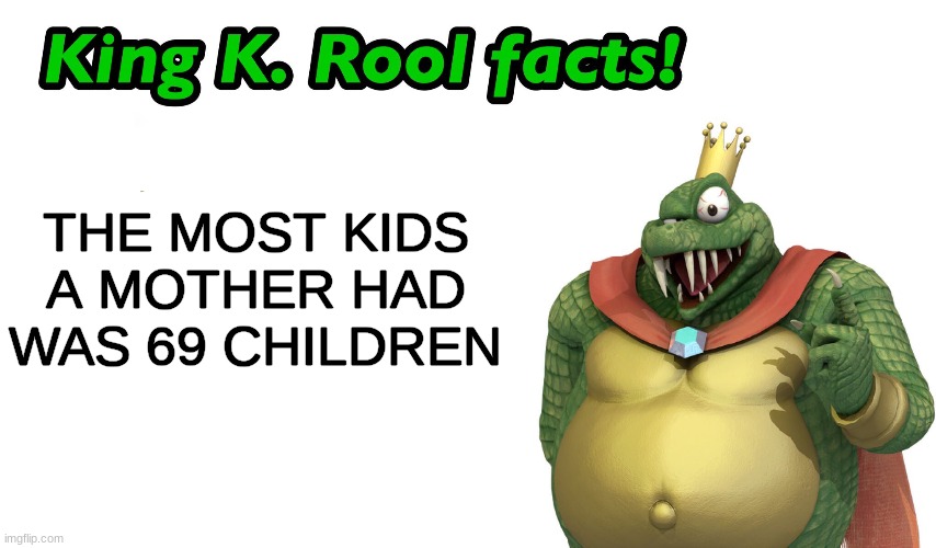 ( ͡° ͜ʖ ͡°) | THE MOST KIDS A MOTHER HAD WAS 69 CHILDREN | image tagged in king k rool facts,69,nice | made w/ Imgflip meme maker