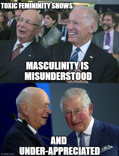 Bidens' terminology: "Democracy" in a democratic socialist regime | TOXIC FEMININITY SHOWS; MASCULINITY IS 
MISUNDERSTOOD; AND 
UNDER-APPRECIATED | image tagged in kamala harris,polite,manners,cultural marxism,toxic masculinity,democratic socialism | made w/ Imgflip meme maker