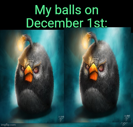 . | My balls on December 1st: | image tagged in realistic bomb angry bird | made w/ Imgflip meme maker
