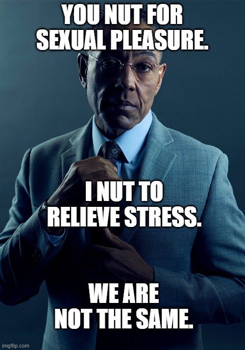 why did i think of this lmao | YOU NUT FOR SEXUAL PLEASURE. I NUT TO RELIEVE STRESS. WE ARE NOT THE SAME. | image tagged in gus fring we are not the same | made w/ Imgflip meme maker