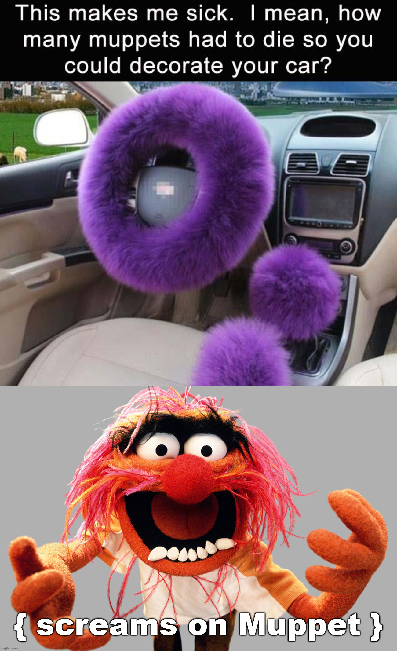 { screams on Muppet } | image tagged in animal muppets | made w/ Imgflip meme maker