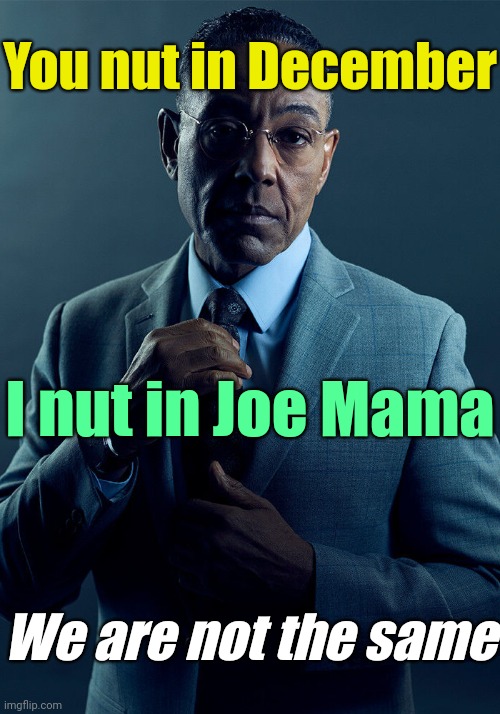 . | You nut in December; I nut in Joe Mama; We are not the same | image tagged in gus fring we are not the same | made w/ Imgflip meme maker