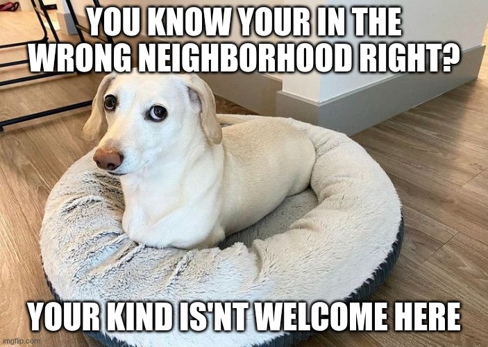 Homophobic dog 2 | YOU KNOW YOUR IN THE WRONG NEIGHBORHOOD RIGHT? YOUR KIND IS'NT WELCOME HERE | image tagged in homophobic dog 2 | made w/ Imgflip meme maker