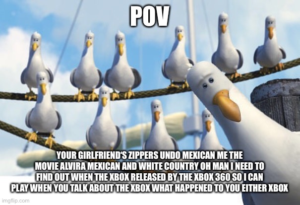 I was making a meme and record our conversation | POV; YOUR GIRLFRIEND‘S ZIPPERS UNDO MEXICAN ME THE MOVIE ALVIRA MEXICAN AND WHITE COUNTRY OH MAN I NEED TO FIND OUT WHEN THE XBOX RELEASED BY THE XBOX 360 SO I CAN PLAY WHEN YOU TALK ABOUT THE XBOX WHAT HAPPENED TO YOU EITHER XBOX | image tagged in finding nemo seagulls | made w/ Imgflip meme maker