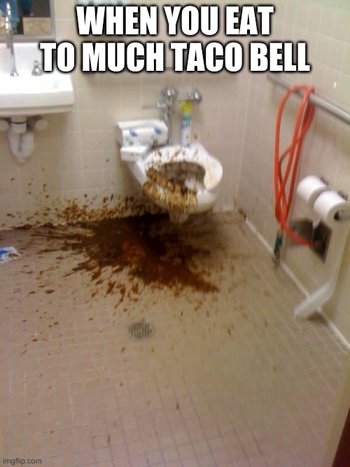 Girls poop too | WHEN YOU EAT TO MUCH TACO BELL | image tagged in girls poop too | made w/ Imgflip meme maker
